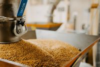 Nahaufnahme eines Edelstahlbehälters mit goldbraunen Saaten in einer Produktionsanlage. Links ist ein blauer Hebel an der Anlage sichtbar, im Hintergrund sind weitere technische Einrichtungen unscharf zu erkennen.